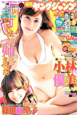 《扎职2012》
